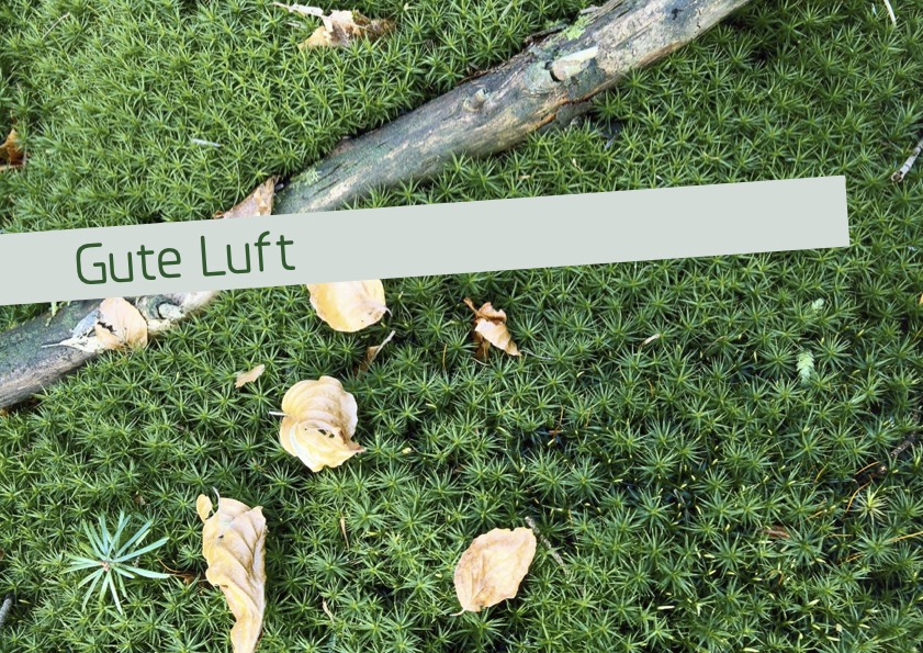 Gute Luft